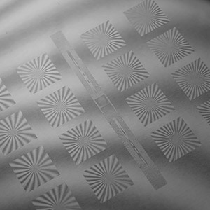 RPC PHOTONICSW(xu)ԪɢƬ΢͸Ruλ